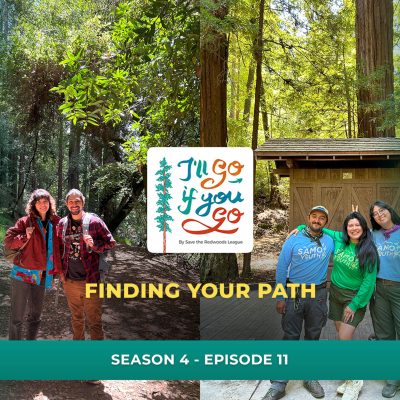 episode Finding your path artwork