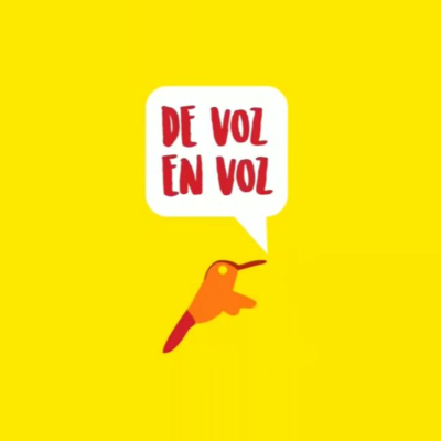episode DE VOZ EN VOZ | EP 04 - ENSEÑAR AYMARA DE MODO ITINERANTE EN BOLIVIA artwork