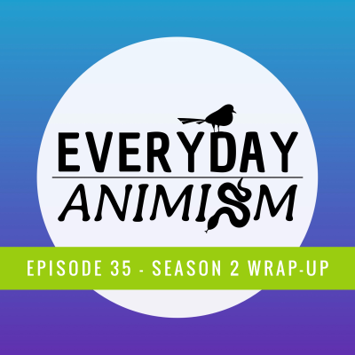 episode Episode 35 - Season 2 Wrap Up artwork