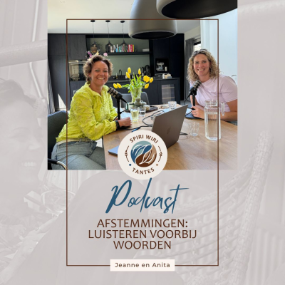 episode #29 - Afstemmingen: luisteren voorbij woorden artwork