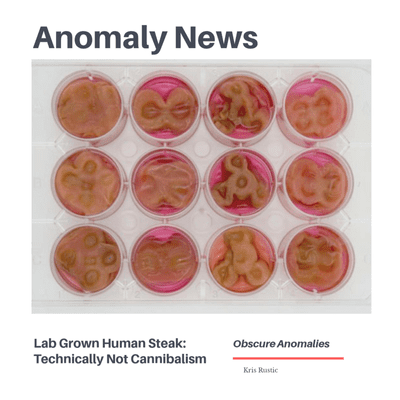 episode Anomaly News: Lab Grown Human Steaks: Technically Not Cannibalism artwork