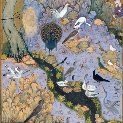 episode Conference of the Birds - Part 1 artwork