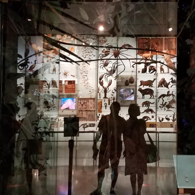 episode Ep. 24: So Many Questions artwork