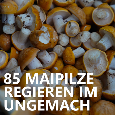 episode #85 Maipilze regieren im Ungemach artwork