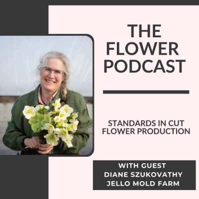 episode Standards in Cut Flower Production: Diane Szukovathy of Jello Mold Farm artwork