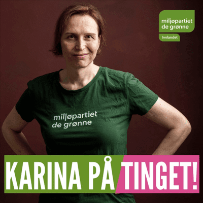 Karina på Tinget