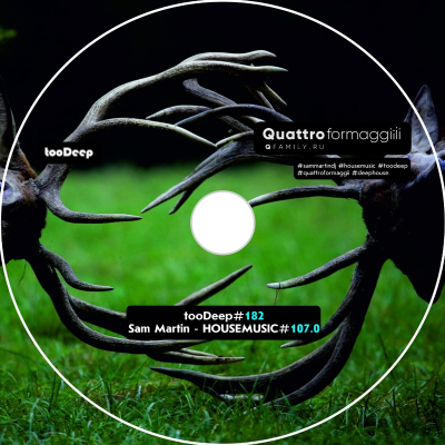episode Sam Martin - Housemusic#107.0@house[july 2024] #182 artwork