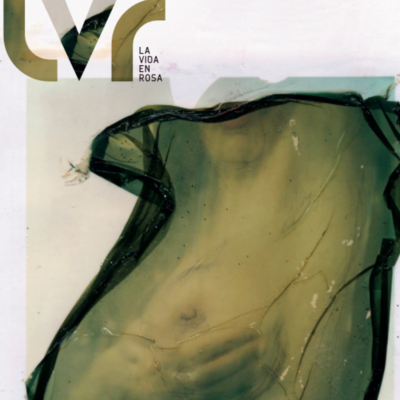 Revista La Vida en Rosa: ENTREVISTAS