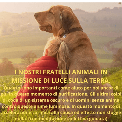 episode I NOSTRI FRATELLI ANIMALI IN MISSIONE DI LUCE SULLA TERRA. artwork