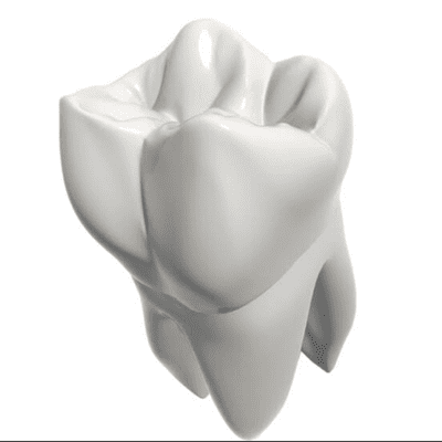 Segundo molar superior