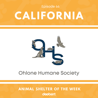 episode Animal Shelter of the Week: Episode 66 – Ohlone Humane Society artwork