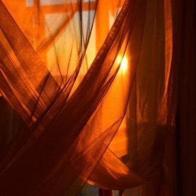 episode Healing Multiple Sclerosis: On Rewiring Your Brain and Embracing Illness as a Teacher with Matt Rowe artwork