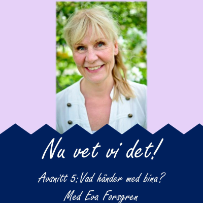 episode Avsnitt 5: Vad händer med bina? artwork
