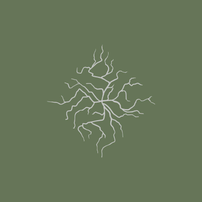 episode Mary Shelley, spelen voor God en AI artwork