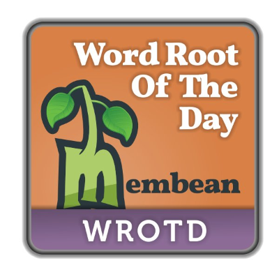 Membean Rootcasts