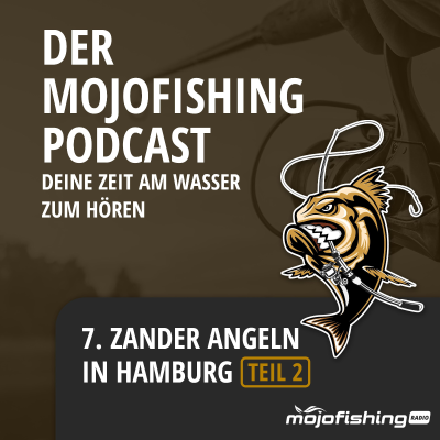 episode Teil 2: Zander Angeln in Hamburg artwork