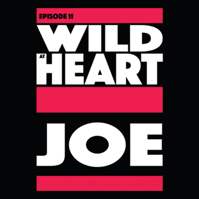 episode Episode 11: Wild At Heart/Joe artwork