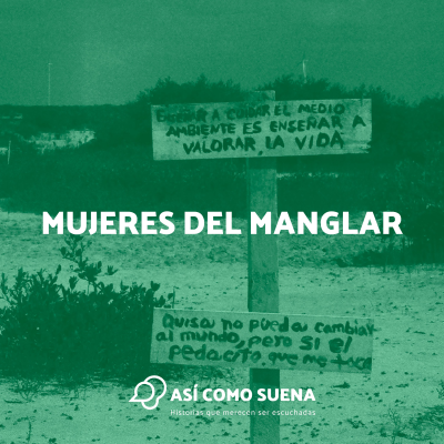 episode Mujeres del manglar artwork