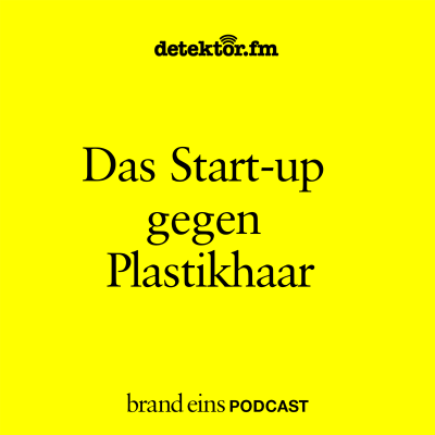 episode Das Start-up gegen Plastikhaar artwork