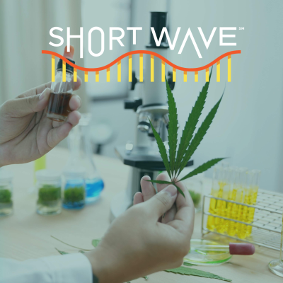 episode Why Legal Weed Isn’t Always Safe artwork