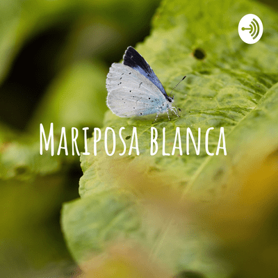 Mariposa blanca