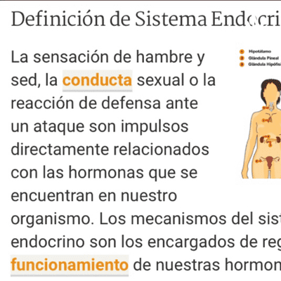 Sistema Endocrino
