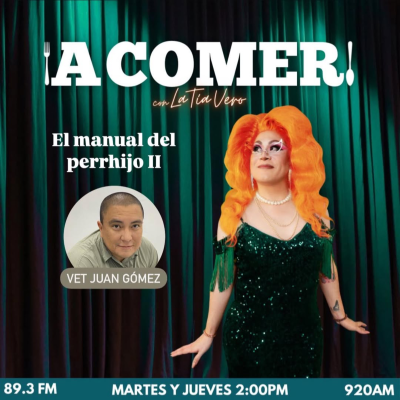 episode ¡A comer! con La Tía Vero - El manual del perrhijo II artwork