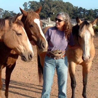 episode Peggy Hogan: Teaching Horses with Clarity, Kindness & Clickers [Episode 251] artwork