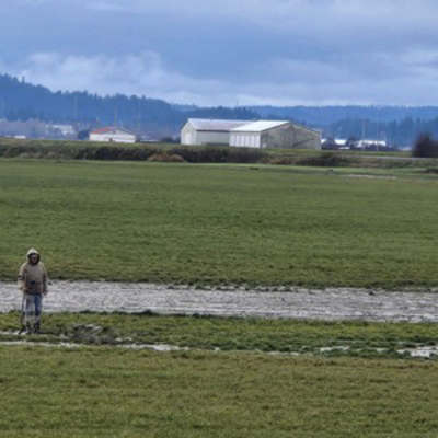 episode Brainwashed - Radio Edition #725 artwork