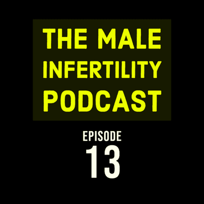 episode Episode 13 : Interview with Tom and Hannah artwork