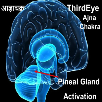 episode AGYA / AJNA Chakra: Unlock Mind / Brain Power; Third Eye Activation; VOICE Guided Meditation- Hindi artwork
