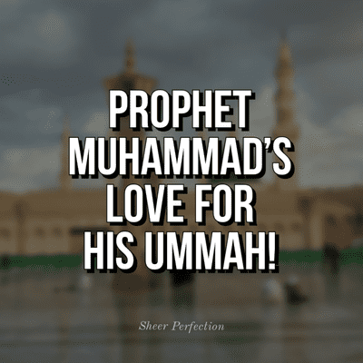 episode Prophet Muhammad's Love For His Ummah! | Promo | Sheer Perfection artwork