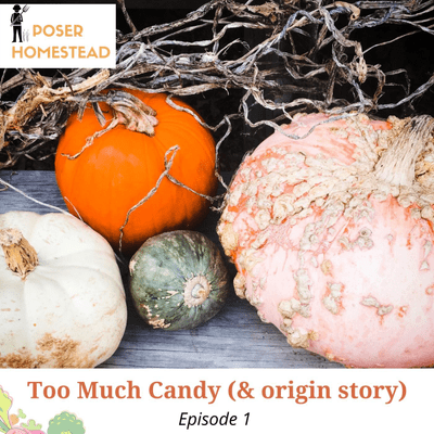 episode Too Much Candy (& origin story) artwork