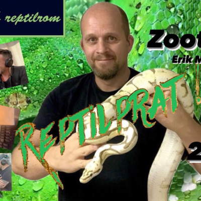 episode REPTILPRAT 2024 #1 ZOOTICUS artwork