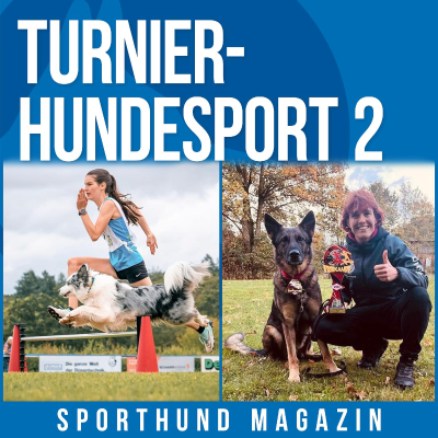 episode #17 Turnierhundesport 2 artwork