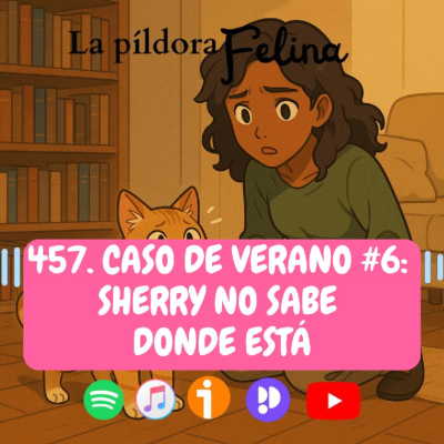 episode 457. Caso de verano #6: Sherry no sabe donde está artwork