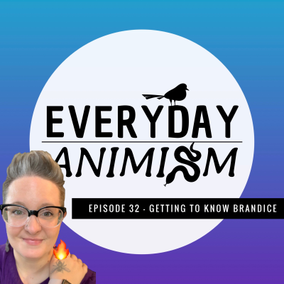 episode Episode 32 - Getting to Know Brandice artwork