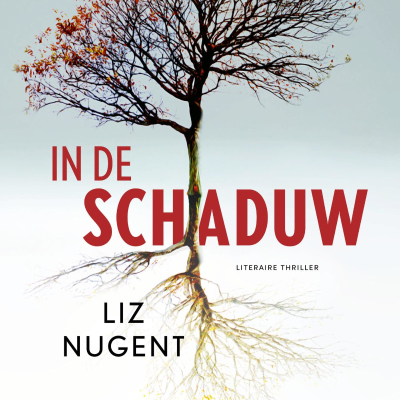 In de schaduw