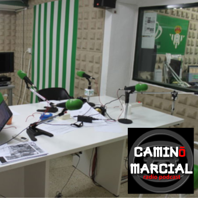 episode CAMINO MARCIAL nº 133 - ESPECIAL FIN DE TEMPORADA artwork