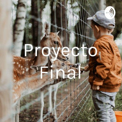 Proyecto Final