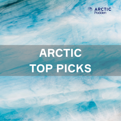 episode Arctic’s top picks - Juleutgave artwork