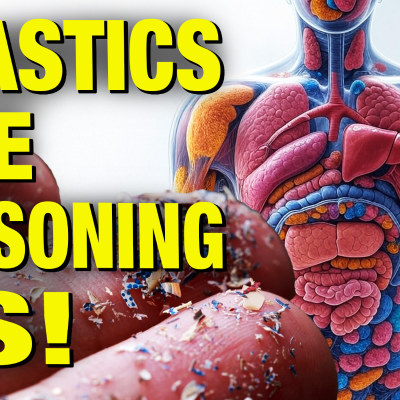episode Here’s How To Fight Microplastics Infecting Our Bodies & Brains! w/ Kim Bright artwork