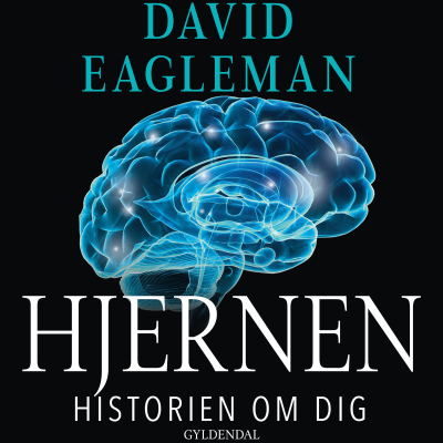 Hjernen