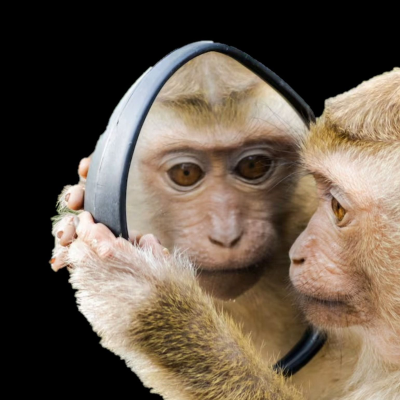 episode Mysteries of Consciousness artwork