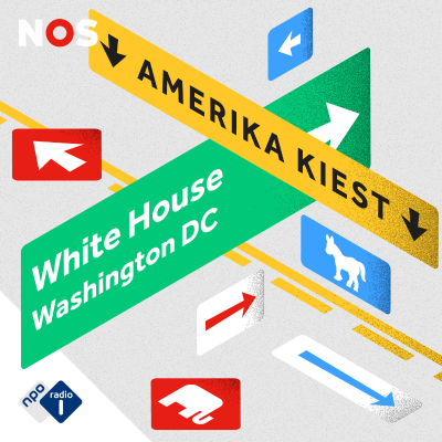 episode Amerika Kiest - Washington in de steigers artwork