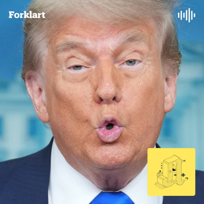 episode Big, Beautiful Beef: Trump-seier provoserer Musk artwork