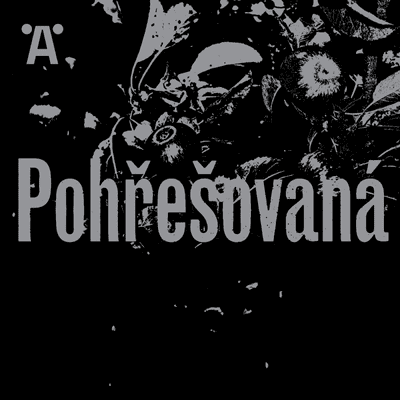 episode Pohled druhé strany / epizoda 5 artwork