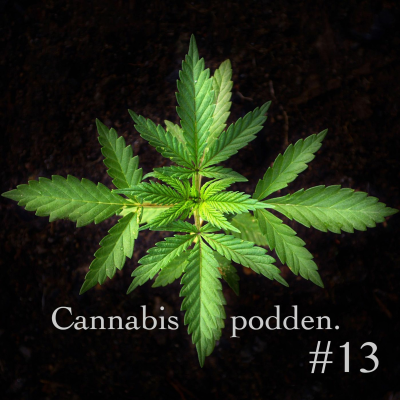 episode Richard Klingvall om cannabis som livlina & flytten från Sverige som enda återstående alternativ artwork