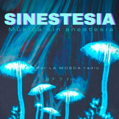 Sinestesia