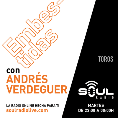 EMBESTIDAS